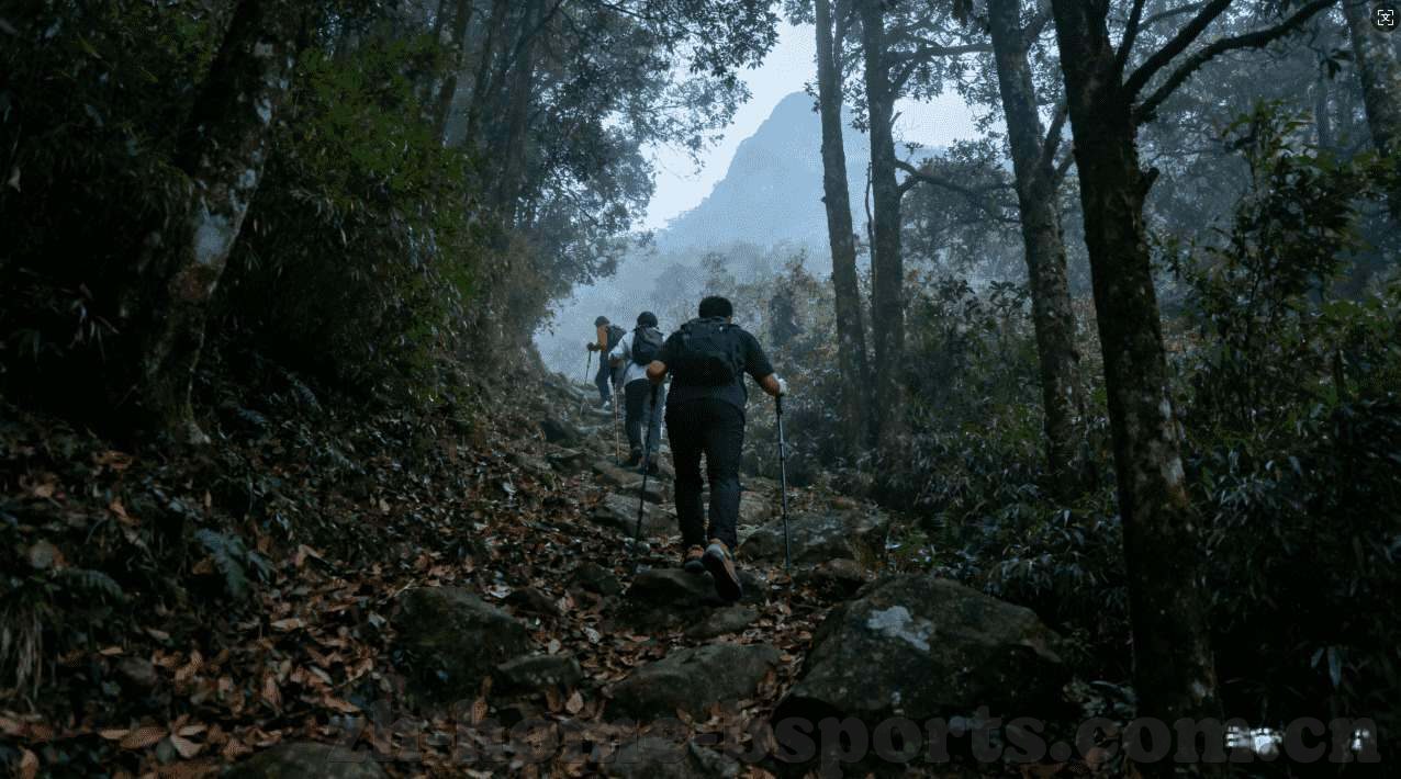 美团世界杯竞猜现金券-美团世界杯竞猜现金券，玩转足球盛宴的绝佳工具